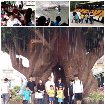 멘토링 3차 야외활동(에버랜드) 진행 이미지