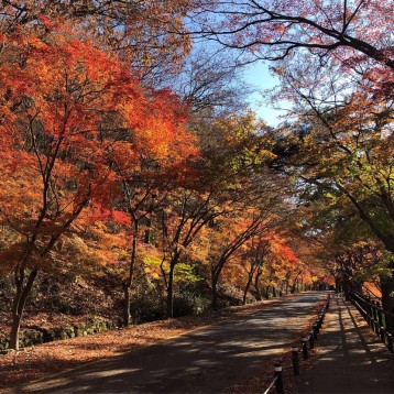 테마여행(장성 백양사) 진행 이미지